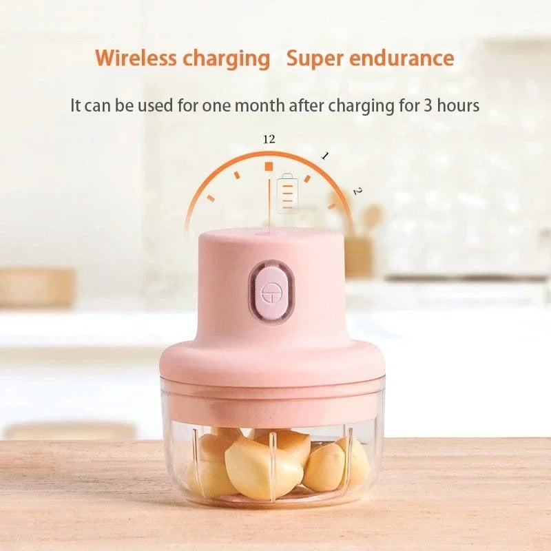 250ml Mini Rechargeable Chopper