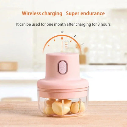 250ml Mini Rechargeable Chopper