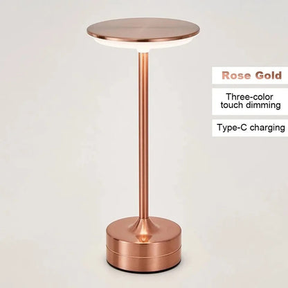 LED Modern metal Lamp